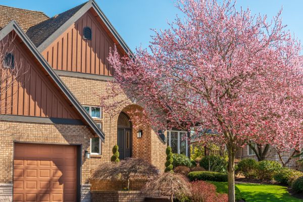 exterior painting during spring season