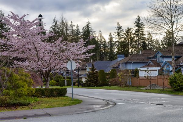 winter season in residential area
